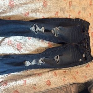 Arizona Jean Company Blue Skinny Jeans with Distressed Detailing